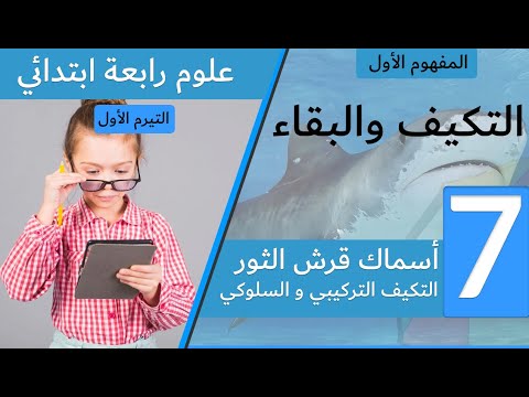 أسماك قرش الثور - التكيف التركيبي و السلوكي - غلوم رابعه ابتدائي 2021