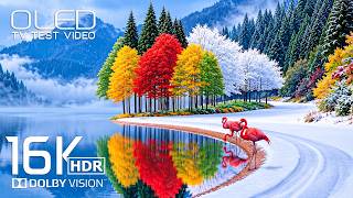 Download Lagu Remarkable OLED TEST Dolby Vision | Stunning 16K HDR 120fps for 8K Video/4K Video ULTRA HD TV Download Lagu Remarkable OLED TEST Dolby Vision | Stunning 16K HDR 120fps for 8K Video/4K Video ULTRA HD TV
