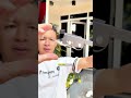 Roda Portable Lemari Kulkas Mesin Cuci, bisa menahan berat 150kg, bisa diatur panjang pendek