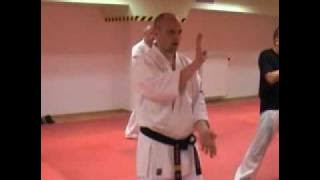 Download lagu SKKK - Siemianowicki Klub Kyokushin Karate