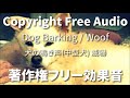 [著作権フリー効果音]  犬の鳴き声（威嚇） 中型犬(老犬)が威嚇で吠える声 わんわん