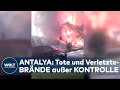 TÜRKEI: TOTE und VERLETZTE! Riesige Waldbrände wüten in der Mittelmeer-Region Antalya I WELT News