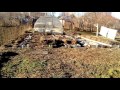 Огород в Краснодарском крае, копаю морковку 23 января