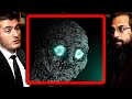 What Life Will Be Like In A Post Singularity World Roman Yampolskiy And Lex Fridman What Life Will Be Like In A Post Singularity World Roman Yampolskiy And Lex Fridman