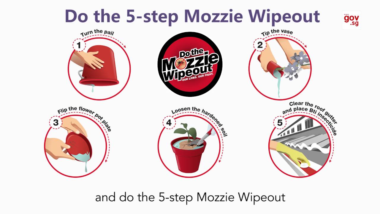 Zika Virus: What moms-to-be should know