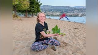 Skaha Lake Park Fun