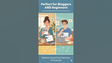 Top 3 WordPress-plugins voor e-mailmarketing