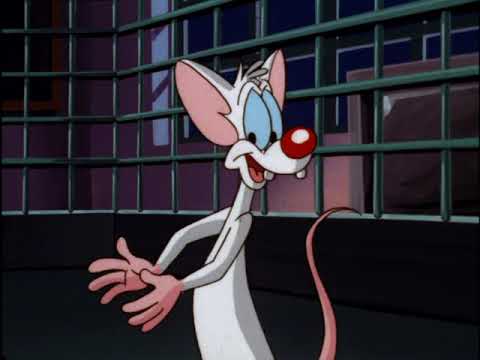 download pinky and the brain and animaniacs download pinky and the brain and animaniacs