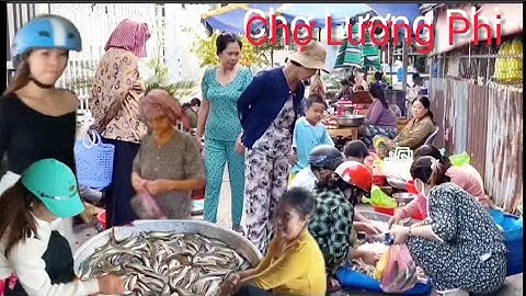 Nước Rút Mạnh Không Ngờ Chợ Lương Phi Cá Nhiều Chưa Từng Thấy Bán Giá Bèo Như Cho Bà Con Trúng Mánh