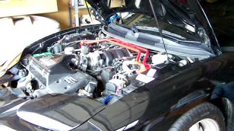 LS7 Trans Am