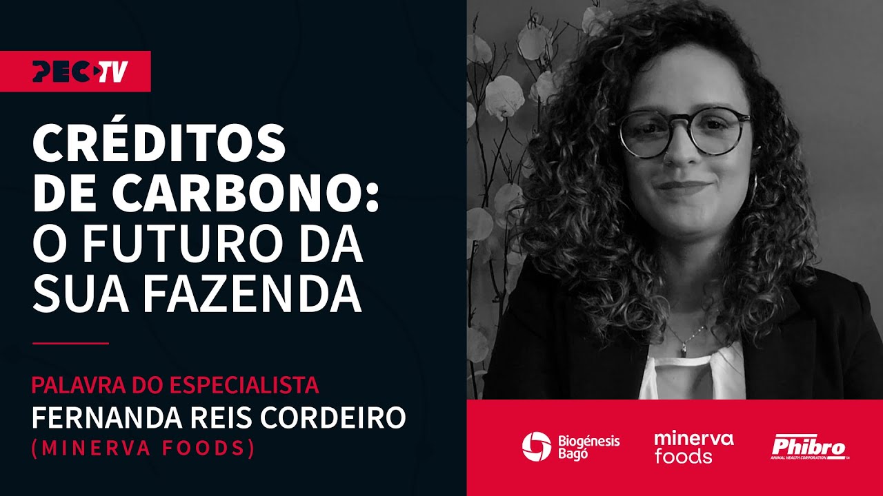 Palavra do Especialista com Fernanda Reis Cordeiro - Créditos de Carbono: o futuro da sua fazenda - youtube.com