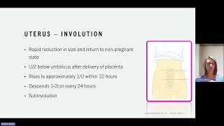 Postpartum Physiology and Assessment