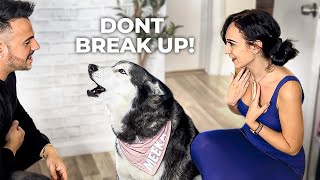Telling My Husky We Are Breaking Up She Got So Mad
