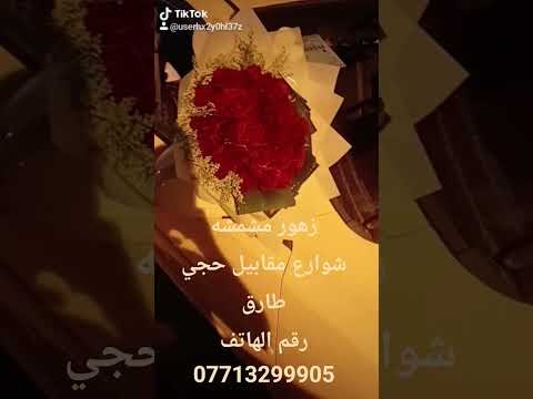 مشمشه اربع شوارع مقابل حجي طارق 07713299905