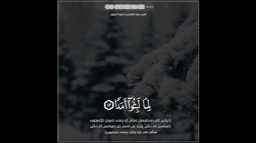 سعد الغامدي | حالات واتس اب دينية سورة الكهف 🥰💛