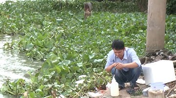 Nâng cao chất lượng nước trong hệ thống công trình thủy lợi Bảo Định