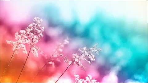 تلاوة في قمة الخشوع _ للشيخ رعد محمد الكردي