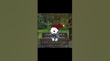 #قرآن #محمد_صديق_المنشاوي #قران_بصوت_جميل #المنشاوي_الباكي #المنشاوي_الصوت_الباكى #سورة_القصص #1000k