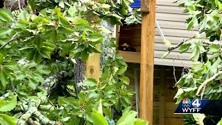 Tornadoes touch down in Upstate South Carolina leaving damage, flooding, Chris Justus says
