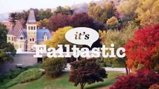 Meet Me For Fall Festivities in Westchester, NY