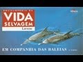 Vida Selvagem - Em Companhia das Baleias 2 - Parte 1 / 5