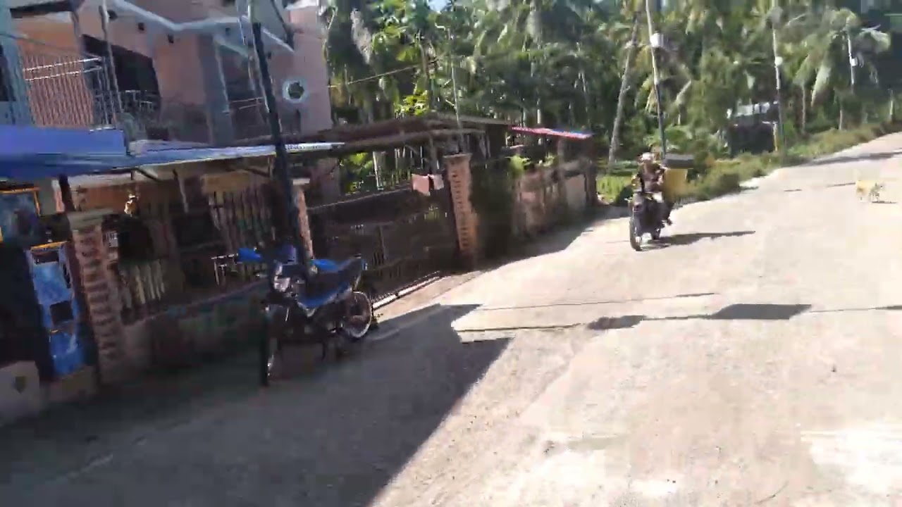 Santa Lucia Asturias Cebu