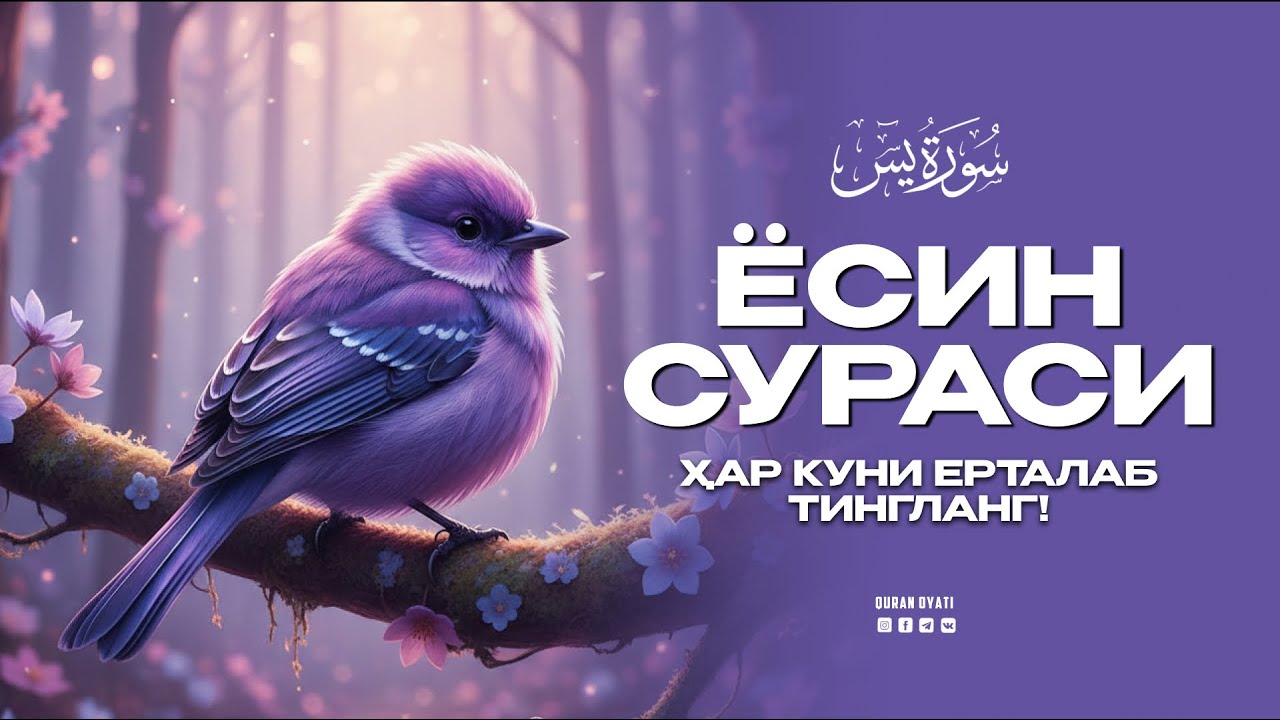 ЁСИН СУРАСИ - ҲАР КУНИ ЕРТАЛАБ ТИНГЛАНГ! Ясин сураси - Узбекча дуолар / Тонги дуо