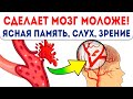 Здоровая голова с первой ложки! Мощный коктейль улучшает память, зрение, слух и даже…