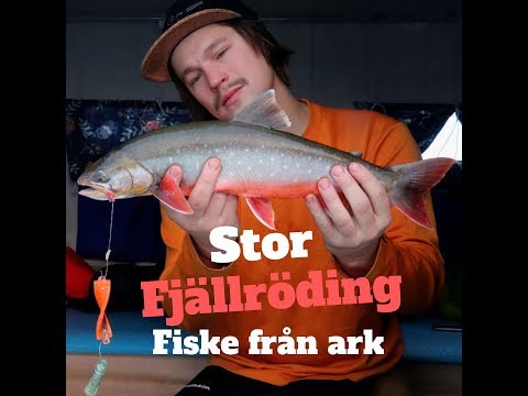 Video: Bästa fiskeställena i Arkansas