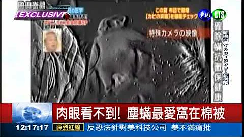 棉被不曬 塵蟎與你同床共枕 - 天天要聞