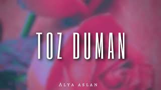 Alya Aslan - Toz Duman ( Furkan Demir Remix ) 🎶 Resimi