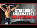 Top 7 Stretches To Increase Flexibility & Mobility for Calisthenics