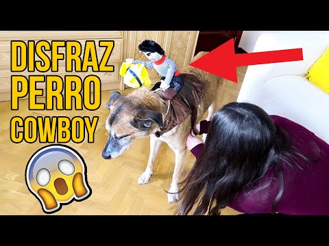 DISFRAZ DE PERRO COWBOY