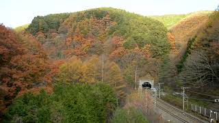 中央本線・紅葉のトンネルを行き交う・特急しなの383系＆313系