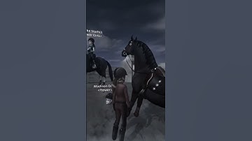 RIP🕊 #violetflowergarden #sso #rip #edits #horselover #starstable