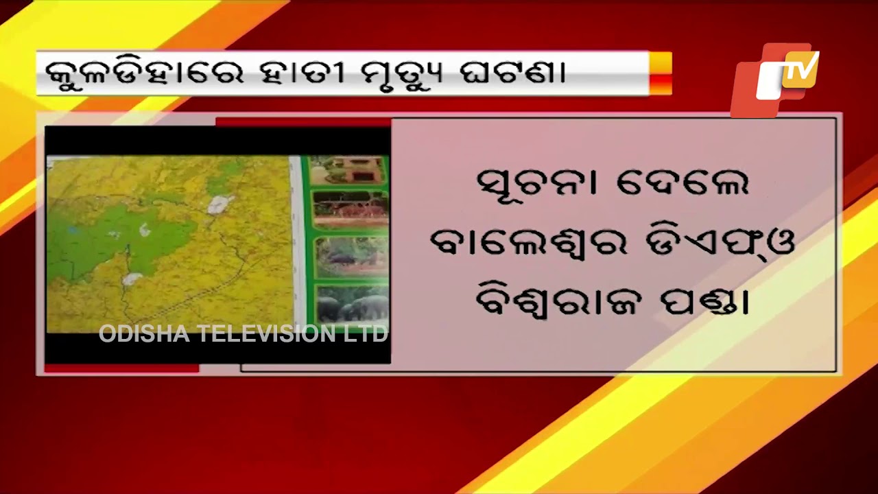 Elephant poaching: 2 forest officials suspended, 1 issued show cause notice