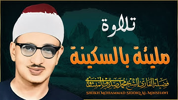 خشوع لا يُوصف تلاوة تبكي الصخر للشيخ محمد صديق المنشاوي