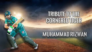 Tribute to the Cornered Tiger  Muhammad Rizwan  - HGZ