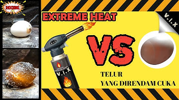 MENAKJUBKAN EKSPERIMEN TELUR DI RENDAM CUKA VS EXTREME HEAT ( MENGHERANKAN !!) TERBARU 2019