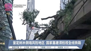 鉴定树木倒塌风险地区  国家基建须检视全线铁路【2024.05.09 八度空间华语新闻】