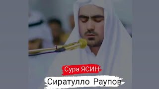 Сура Ясин. Сиратулло Раупов سورة ياسين #ЯСИН #СУРАЯСИН #surayaseen #يس #СураиЁсин #Yasinsurasi #عرفة