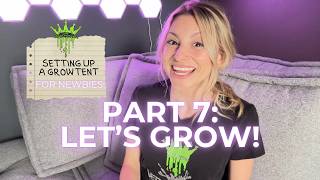 Setting Up An Indoor Grow Tent for Newbies 🌱 (Part 7: Officially Ready!)