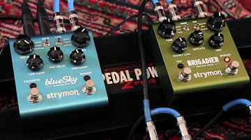 Strymon Brigadier Delay and blueSky Reverberator - Verbed Delay Demo