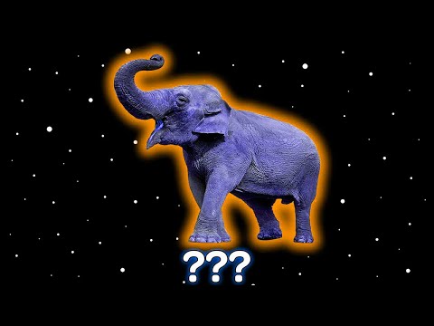 13 Elephant Sound