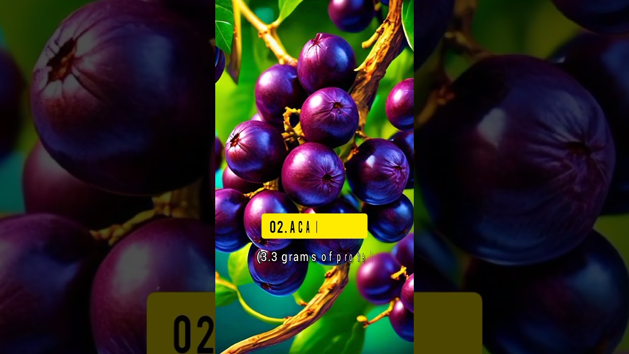 Top 10 High Protein Fruit 