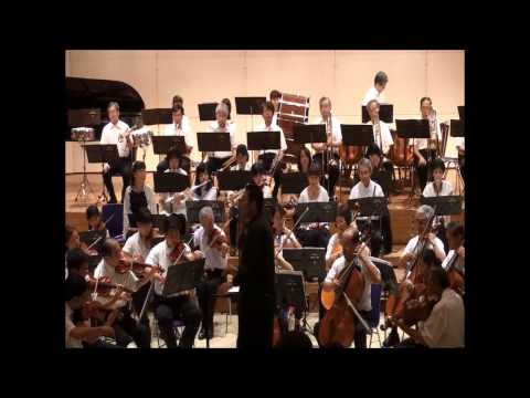 Tchaikovsky / The Sleeping Beauty