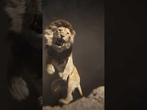 فيديو: هل قتل الحيوانات البرية موفاسا؟