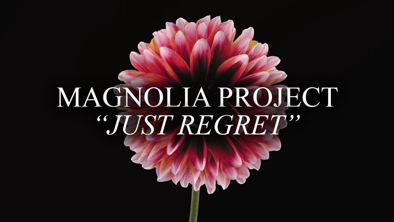 Magnolia Project - Just Regrets (Official Music Video) 