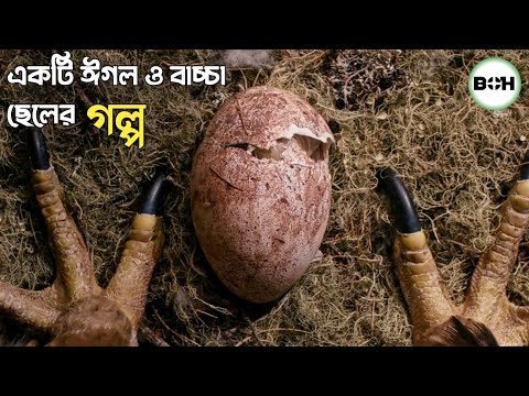 ভিডিও: ঝুঁকি না নেওয়াই ভালো: সময়মতো ব্যাটারি পরিবর্তন করা কতটা উপকারী তা নিয়ে বিজ্ঞাপন