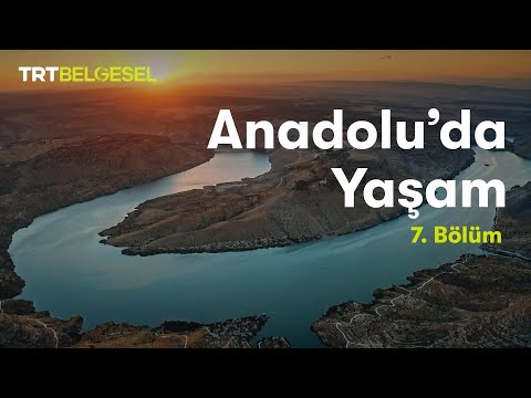 Anadolu'da Yaşam | Akarsu | TRT Belgesel